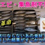 【サビキ革命】アミエビ・集魚剤一切なしでサビキ釣りやってみた結果がすごかった！