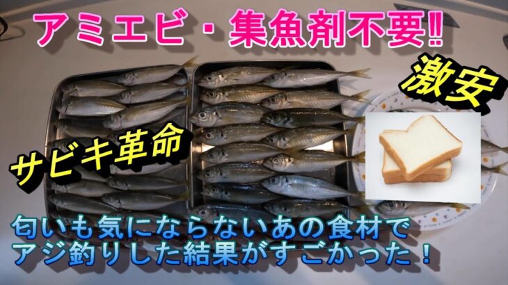 【サビキ革命】アミエビ・集魚剤一切なしでサビキ釣りやってみた結果がすごかった！