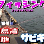 ２０２３年７月２日　宇和島湾釣り　サビキ釣り　築地