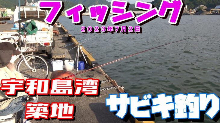 ２０２３年７月２日　宇和島湾釣り　サビキ釣り　築地