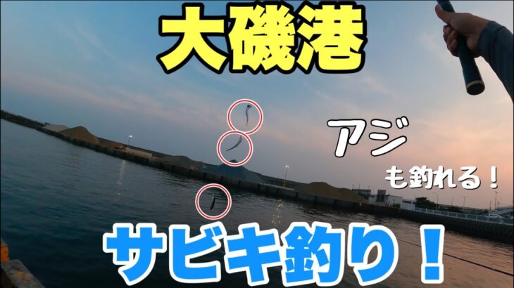 大磯漁港でサビキ釣り！〇〇パターンでアジもイワシも釣れた！