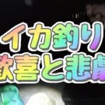 イカ釣りの歓喜と悲劇　ひどくおぞましい出来事が起きました！恐ろしい😱