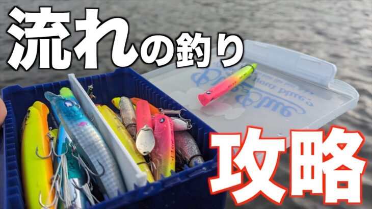 【シーバス】流れの釣りを攻略解説。