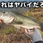 超絶ガリガリのブラックバスが水面炸裂した…【バス釣り】【大江川】【長良川】【アベンタクローラーバゼル】【フリックシェイク】【アフター回復】