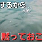 【爆釣アジング】ここだけに！これはデイアジング最強だわと納得