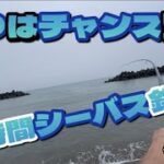 梅雨の曇りがチャンス！？シーバス短時間釣行！【石川県　釣り】