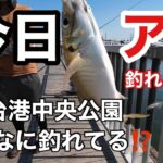 2023.08.04 仙台港中央公園 今、なに釣れてる⁉️アジ釣れた