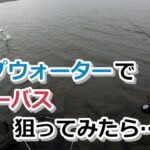 トップウォーターでシーバス狙ってみたら…【2023年7月15日】