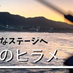 夏のヒラメ狙いは鉄板だった・・・はず　千葉県南房総市某サーフと港　2023年8月5日