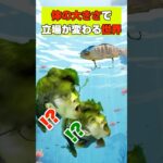 魚の大きさで立場が変わる世界【3】 / 君と僕は同じ/#ブラックバス