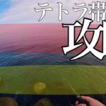 【4分で解説】テトラ帯でのアジング攻略これかもしれない