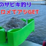 強風のサビキ釣りシロメでアジGET