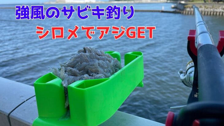 強風のサビキ釣りシロメでアジGET