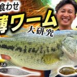 赤松健の超食わせ!　極薄ワーム大研究【イッセイISSEIバス釣り研究所】