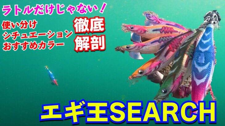 超バランス最強アピールエギが登場！エギ王SEARCHがラトルだけじゃない理由とおすすめ使い分け解説