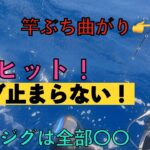 ジギングはコレだから面白い！マグロ・カンパチ・根魚ヒットジグは全部同じスキルロング！【小笠原 母島】Slow Deep Amberjack Jigging