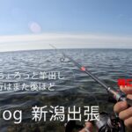 シーバス釣りVlog 新潟出張 2023年8月1日（ホゲ）隙間時間にちょろっと竿出し