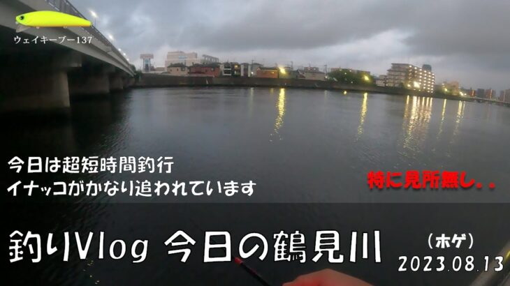 シーバス釣りVlog 今日の鶴見川 2023年8月13日（ホゲ）家族行事のため超短時間釣行