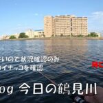 シーバス釣りVlog 今日の鶴見川 2023年8月5日（ホゲ）本日は状況確認のみ