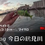 シーバス釣りVlog 今日の鶴見川 2023年8月7日（ホゲ）今日もビッグベイトで