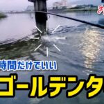 真夏のシーバスを釣るなら〇〇の１時間だけでいい。【ナイトとデイゲームの良いとこ取り⁉️】