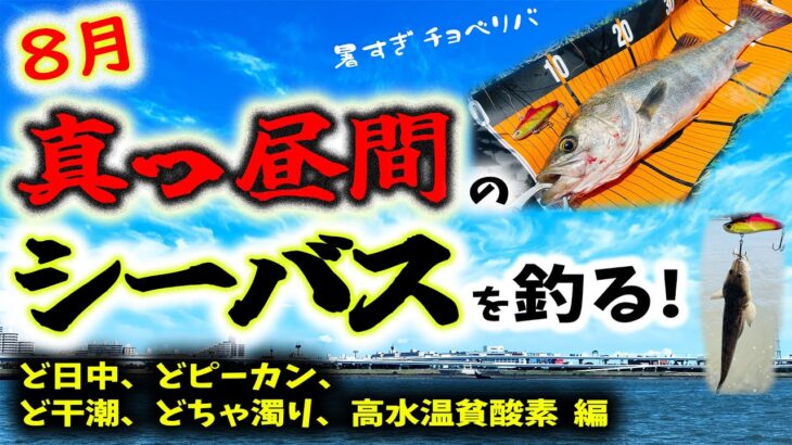 ８月真っ昼間のシーバスを釣る！ – ど日中、ど干潮、どピーカン、どちゃ濁りの高水温貧酸素編 – 東京湾奥シーバスデイゲーム