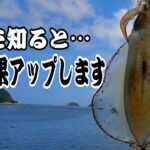 【エギング】知らない方が意外と多いのでお試し下さい！夏〜秋アオリイカに強い釣り方。大分エギング