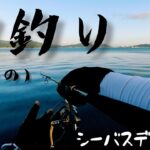 【釣り】シーバス狙いで今年の初釣り！