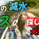 【バス釣り】減水時の魚探し思考法【ルアー】【釣り方】