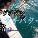 大阪湾ジギング