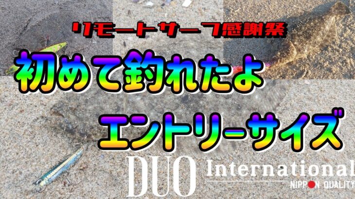 【リモートサーフ感謝祭】初めてエントリーサイズが釣れたよ【常磐サーフ・ヒラメ】