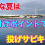 灼熱な夏は横付けポイントで投げサビキ釣り 衣浦湾