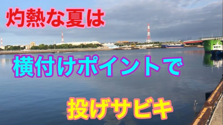 灼熱な夏は横付けポイントで投げサビキ釣り 衣浦湾