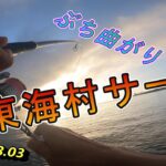 東海村サーフで初魚種が釣れました🎣