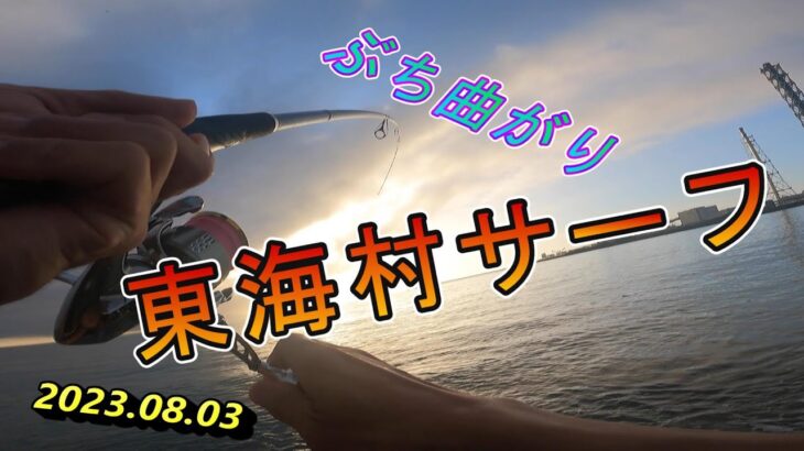 東海村サーフで初魚種が釣れました🎣