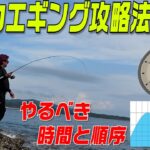 【夏イカエギング攻略の秘訣】夏のアオリイカ釣りたいならこれを見ろ！ポイントなど徹底実釣解説！