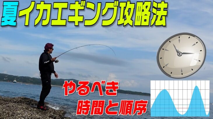 【夏イカエギング攻略の秘訣】夏のアオリイカ釣りたいならこれを見ろ！ポイントなど徹底実釣解説！