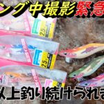 新作エギ王サーチのレビュー中にまさかの事態に！エギング撮影を中断するしかありませんでした。