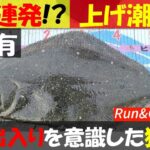 【解説有！大物連発!?】鹿島灘サーフ  潮の出入りを意識した狙い方