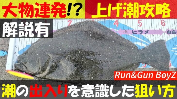 【解説有！大物連発!?】鹿島灘サーフ  潮の出入りを意識した狙い方