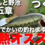 【茨城バス釣りポイント】つくばの池でデカバス大量発生！ぽつんと野池第五章！【バス釣りオススメポイント】