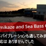 【シーバス】夏のシーバス【東京湾シーバスチャンネル】シーバス始めて１年経過、海のルアー釣りは難しいです…