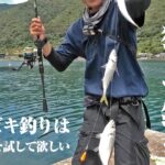 小魚を避け大物を釣る。真夏のサビキはこんな風にしたら大物が狙えるのかも。