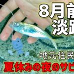 淡路島の常夜灯の下でサビキ釣りしてみた【淡路島釣り】