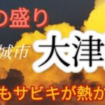 大津港は８月もサビキ釣りが熱かった