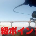 【サーフヒラメ】また座布団ヒラメ出た‼️