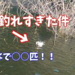 みんなで○○匹！！バスが釣れすぎた件