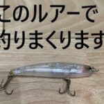 シーバス釣行vol5 + 最強ルアーの巻