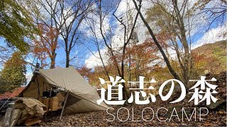 『ソロキャン』モーニンググローリーTC 道志の森キャンプ場  最高の紅葉 冬キャンプ solo camping