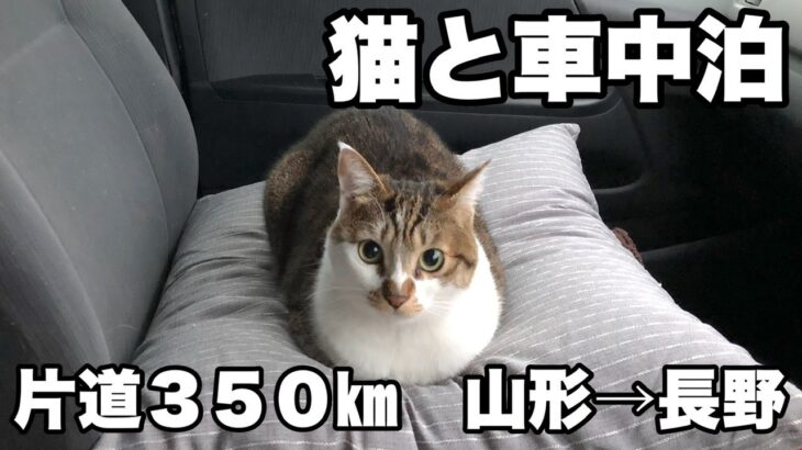【車中泊 ハイエース】『山形⇒長野』片道３５０㎞の車中泊旅。長野の家に帰るため、DIYしたキャンピングカー仕様っぽいハイエースで、猫のマサと一緒に車中泊と車中飯。